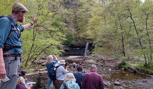 Random Landscape Image Displayed in the Center