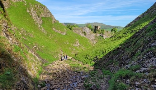 Random Landscape Image Displayed in the Center