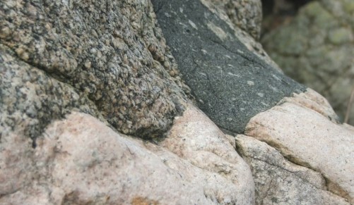 Random Landscape Image Displayed in the Center